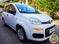 usato FIAT Panda