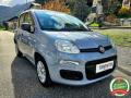 usato FIAT Panda