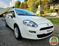 usato FIAT Punto