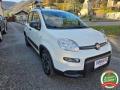 usato FIAT Panda