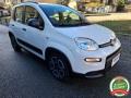 usato FIAT Panda