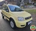 usato FIAT Panda