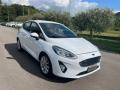 usato FORD Fiesta