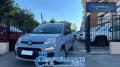 usato FIAT Panda