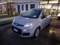 usato FIAT Panda