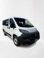 usato FIAT Ducato