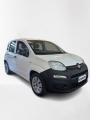 usato FIAT Panda