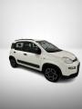 usato FIAT Panda