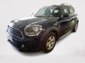 usato MINI Countryman