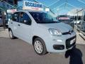 usato FIAT Panda