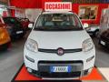 usato FIAT Panda