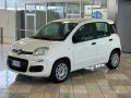 usato FIAT Panda