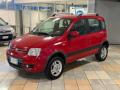 usato FIAT Panda