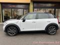 usato MINI Countryman