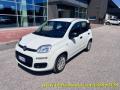 usato FIAT Panda