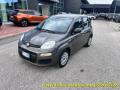 usato FIAT Panda