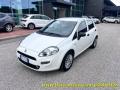 usato FIAT Punto