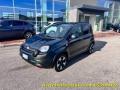 usato FIAT Panda