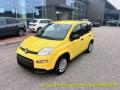 Km 0 FIAT Panda