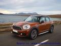 usato MINI Countryman