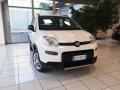 usato FIAT Panda