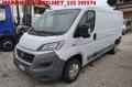 usato FIAT Ducato