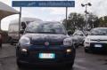 usato FIAT Panda