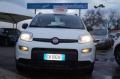 usato FIAT Panda