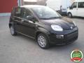 nuovo FIAT Panda