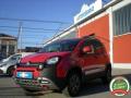 usato FIAT Panda Cross