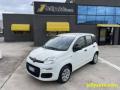 usato FIAT Panda