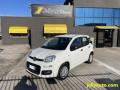 usato FIAT Panda