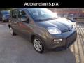 usato FIAT New Panda