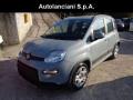 usato FIAT New Panda