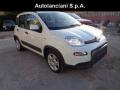 usato FIAT New Panda