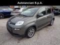 usato FIAT New Panda