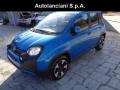 usato FIAT New Panda