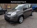 Km 0 FIAT New Panda