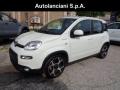 usato FIAT New Panda