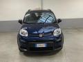 usato FIAT Panda