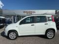 usato FIAT Panda