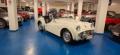 usato TRIUMPH TR3