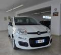 usato FIAT Panda