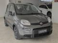 usato FIAT Panda