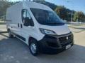 usato FIAT Ducato