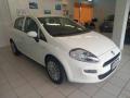 usato FIAT Punto