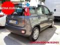 usato FIAT Panda