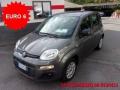 usato FIAT Panda