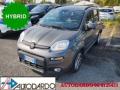 usato FIAT Panda