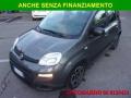 usato FIAT Panda